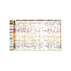 Stuart Gardiner Beer & Food Pairing Guide Tea Towel